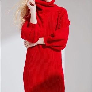 Red turtle neck dress